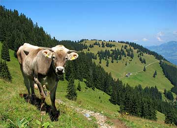 Liechtenstein